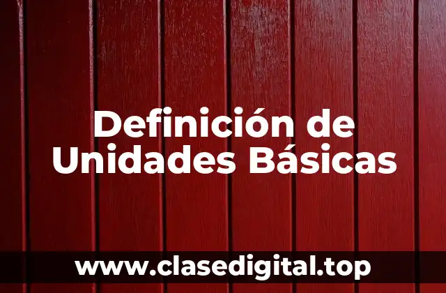 Definición Técnica de Unidades Básicas