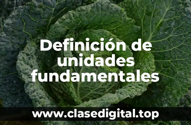 Definición de unidades fundamentales