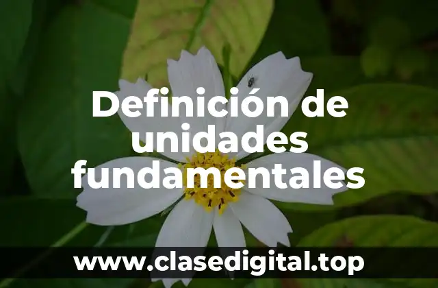 📗 Definición técnica de unidades fundamentales