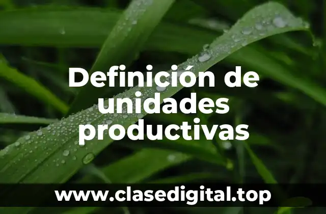 Definición de unidades productivas