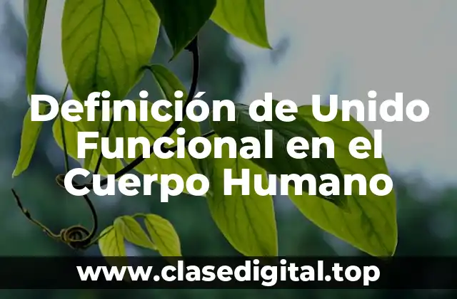 Definición de Unido Funcional en el Cuerpo Humano