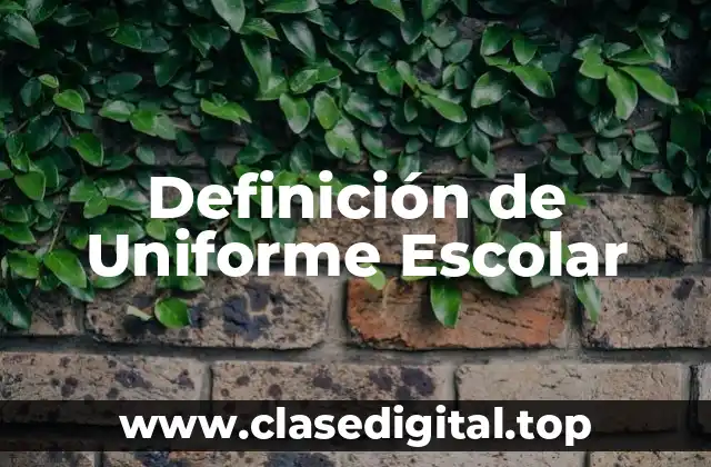 Definición técnica de Uniforme Escolar