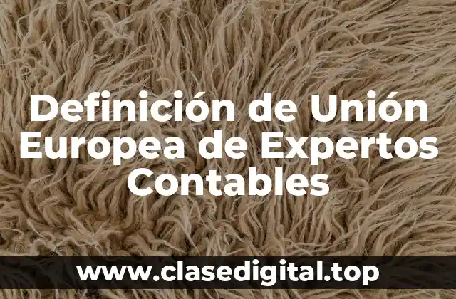 Definición de Unión Europea de Expertos Contables