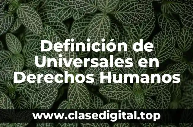 Definición técnica de Universales en Derechos Humanos