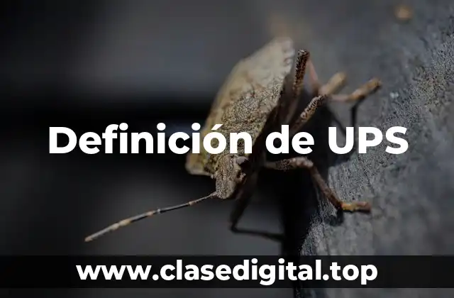 Definición de UPS