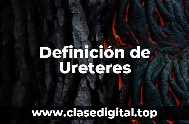 Definición de Ureteres