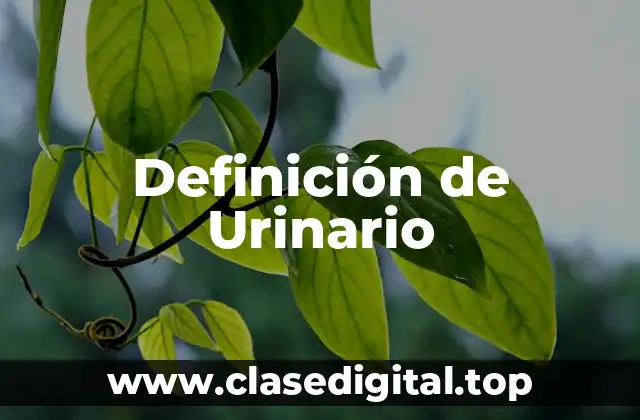 Definición de Urinario