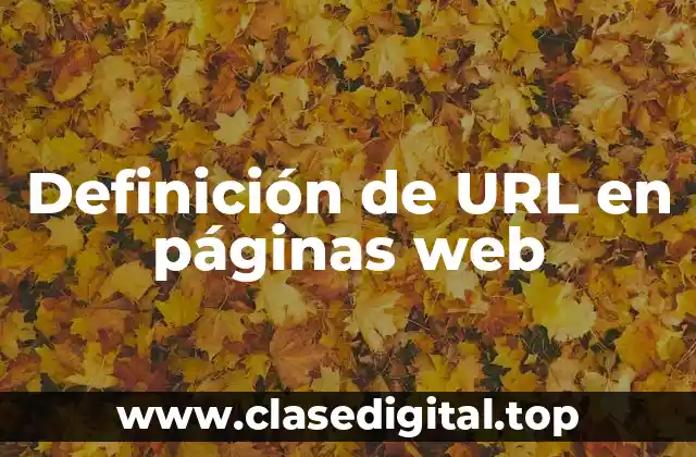 Definición de URL en páginas web