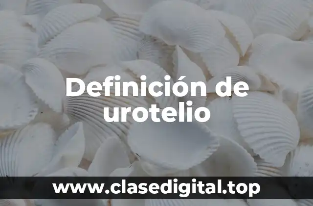 Definición de urotelio