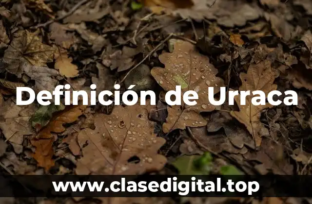 Definición de Urraca