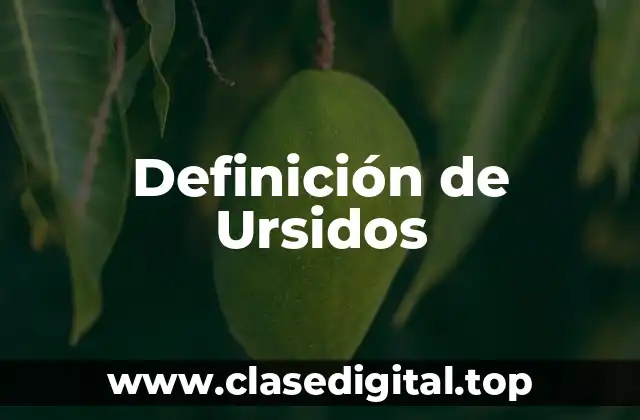 Definición de Ursidos