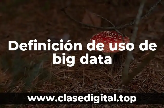 Definición de uso de big data