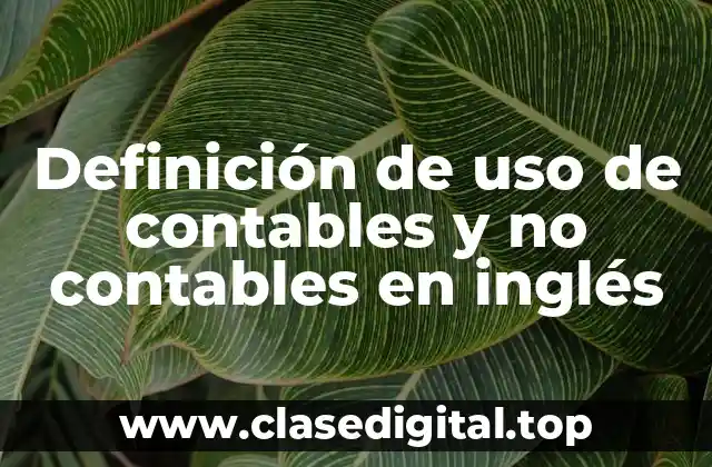 Definición de uso de contables y no contables en inglés