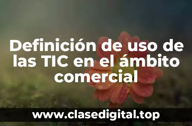 Definición de uso de las TIC en el ámbito comercial