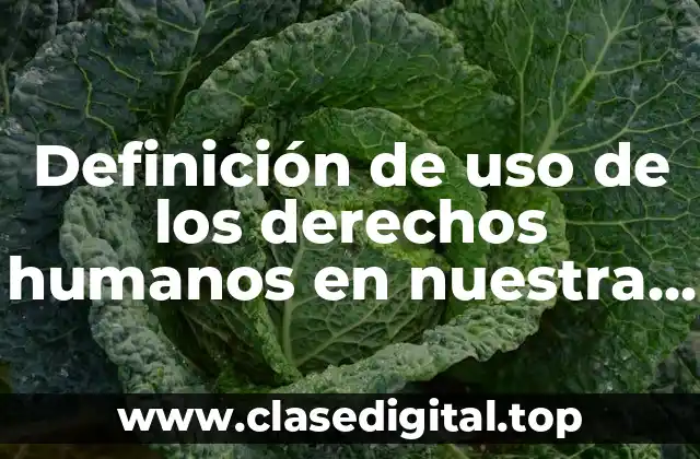 Definición de uso de los derechos humanos en nuestra vida