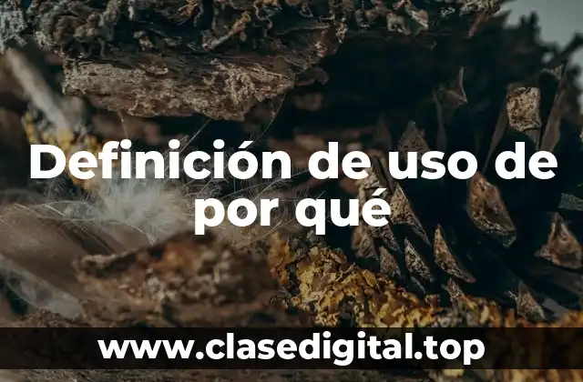 Definición de uso de por qué