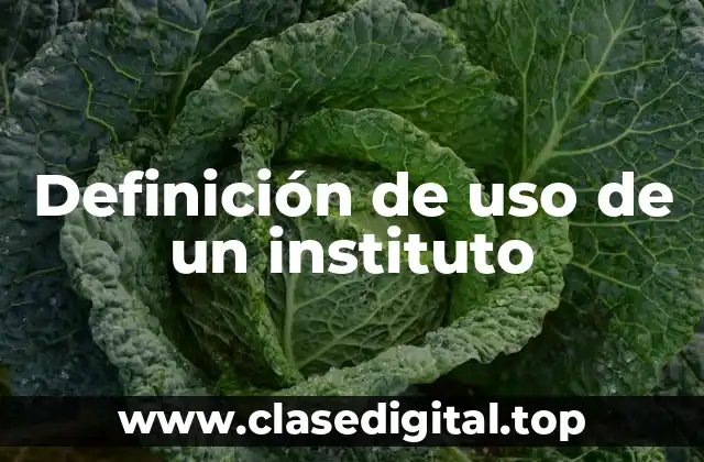 Definición de uso de un instituto