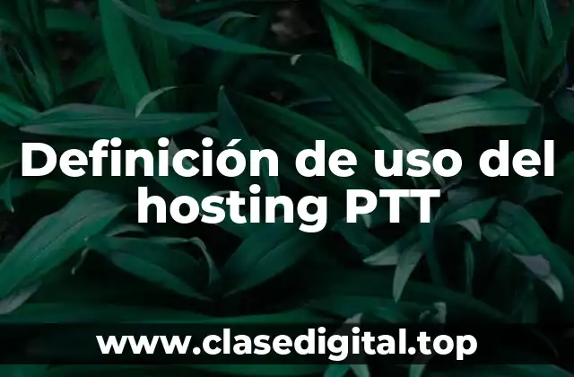 Definición de uso del hosting PTT