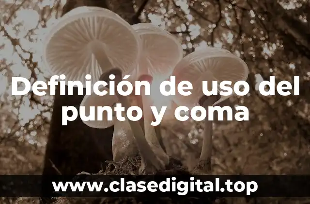 Definición de uso del punto y coma