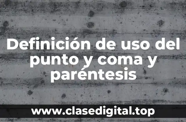 Definición de uso del punto y coma y paréntesis