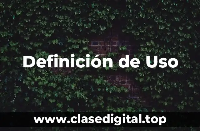 Definición técnica de Uso