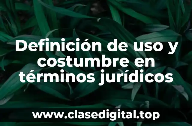 Definición de uso y costumbre en términos jurídicos