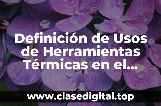 Definición técnica de herramientas térmicas en el cabello