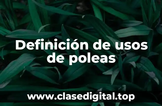 Definición de usos de poleas