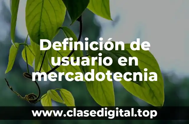 Definición técnica de usuario en mercadotecnia