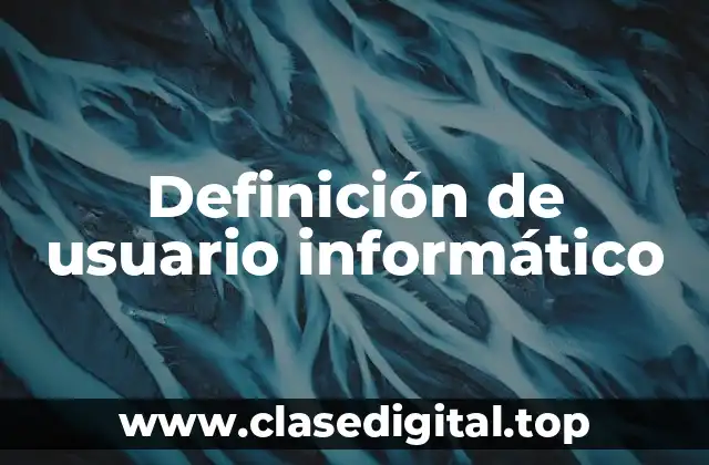 Definición de usuario informático