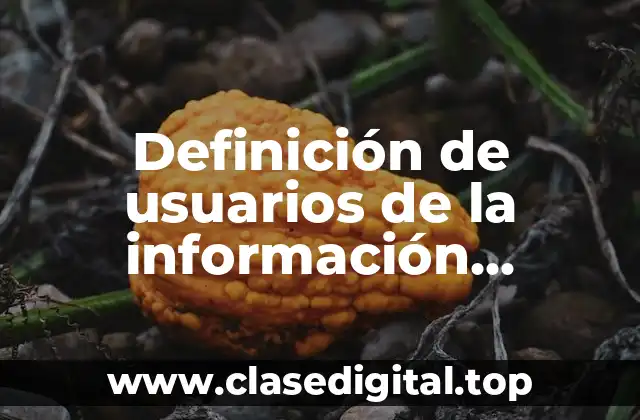 Definición de usuarios de la información financiera