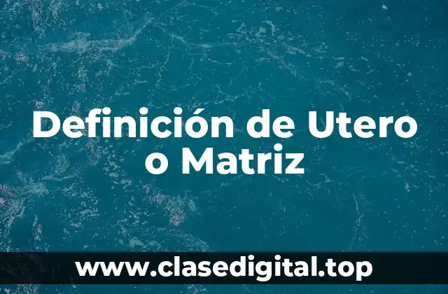 Definición de Utero o Matriz