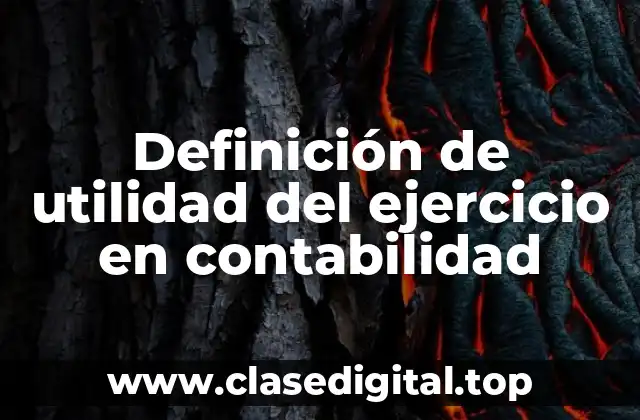 Definición de utilidad del ejercicio en contabilidad