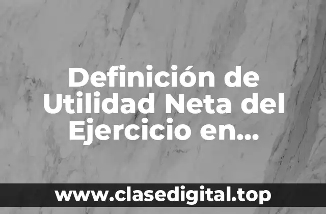 Definición de Utilidad Neta del Ejercicio en Contabilidad