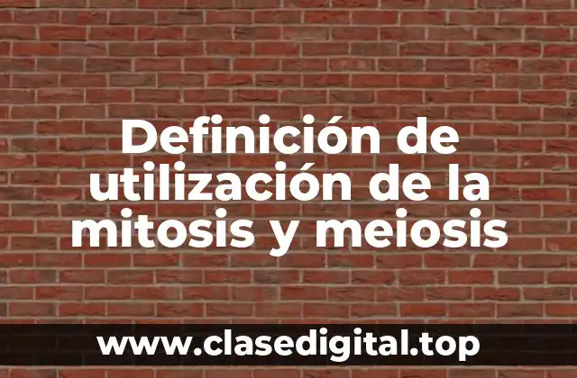 Definición de utilización de la mitosis y meiosis