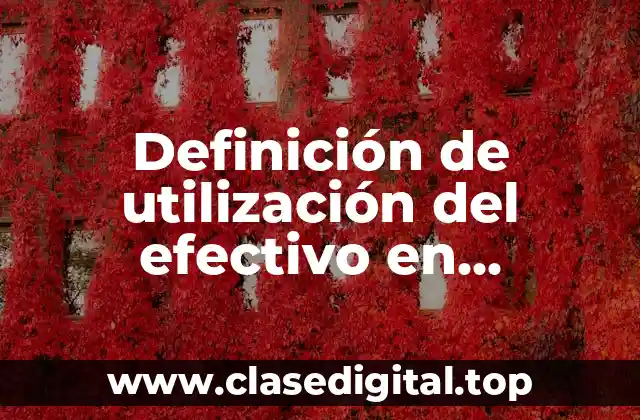 Definición de utilización del efectivo en actividades de operación