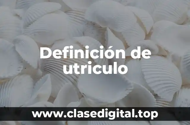 Definición de utriculo