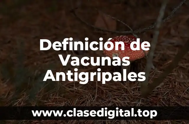 Definición de Vacunas Antigripales