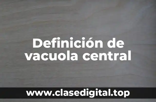 Definición de vacuola central