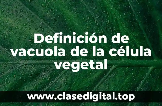 Definición de vacuola de la célula vegetal