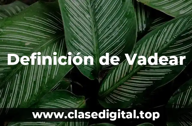 Definición de Vadear