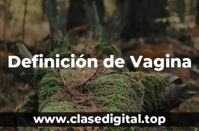 Definición técnica de Vagina