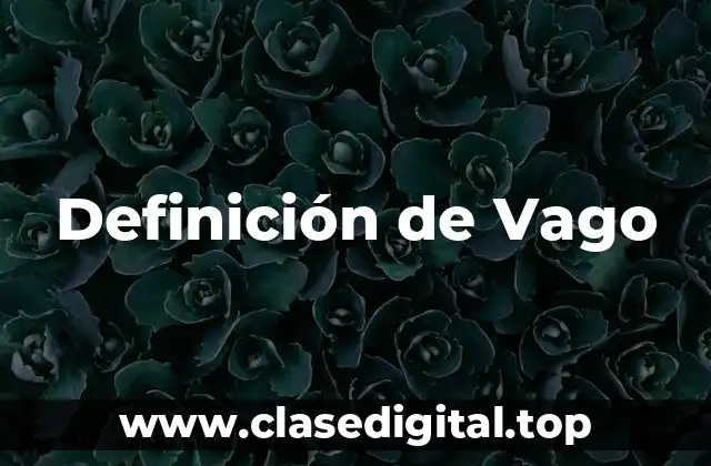 Definición de Vago