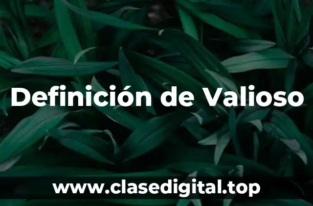 Definición de Valioso