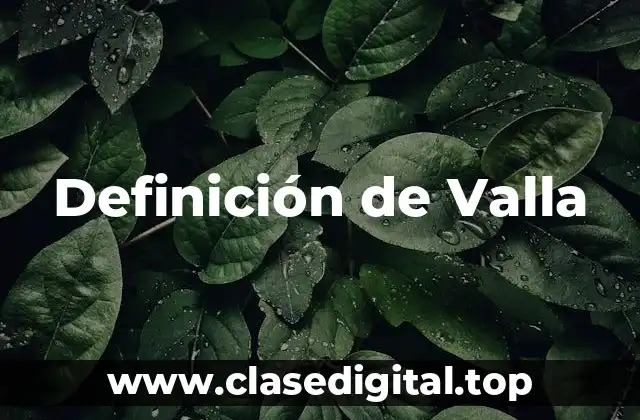 Definición de Valla