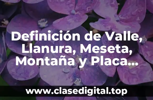 Definición de Valle, Llanura, Meseta, Montaña y Placa Tectónica