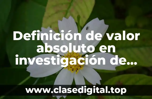 Definición técnica de valor absoluto