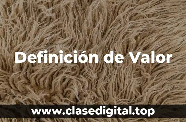 Definición técnica de Definición de Valor
