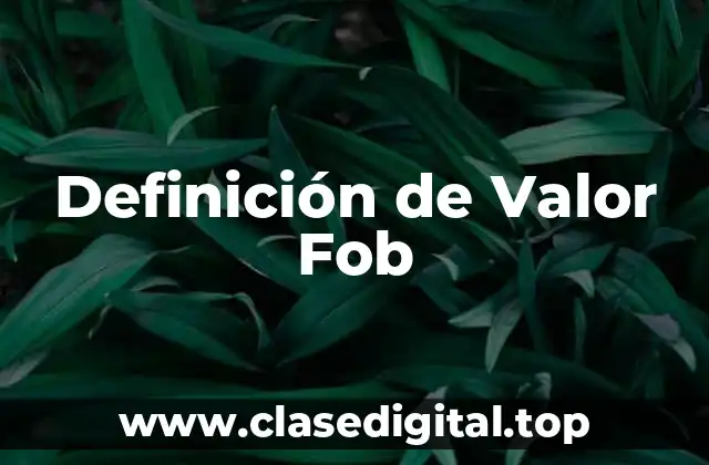 Definición técnica de Valor FOB