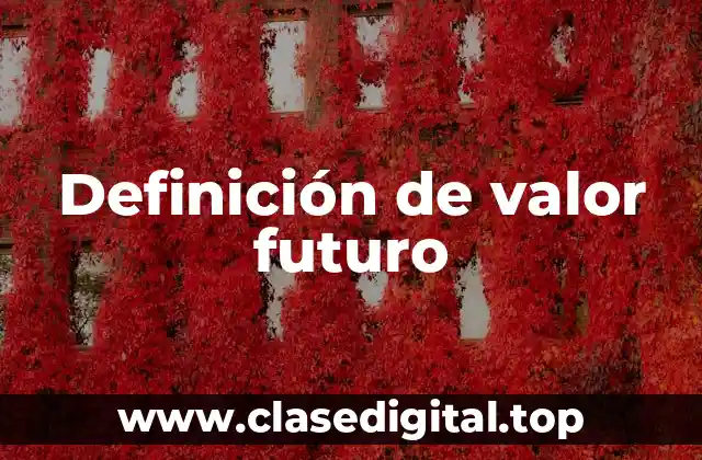 Definición de valor futuro